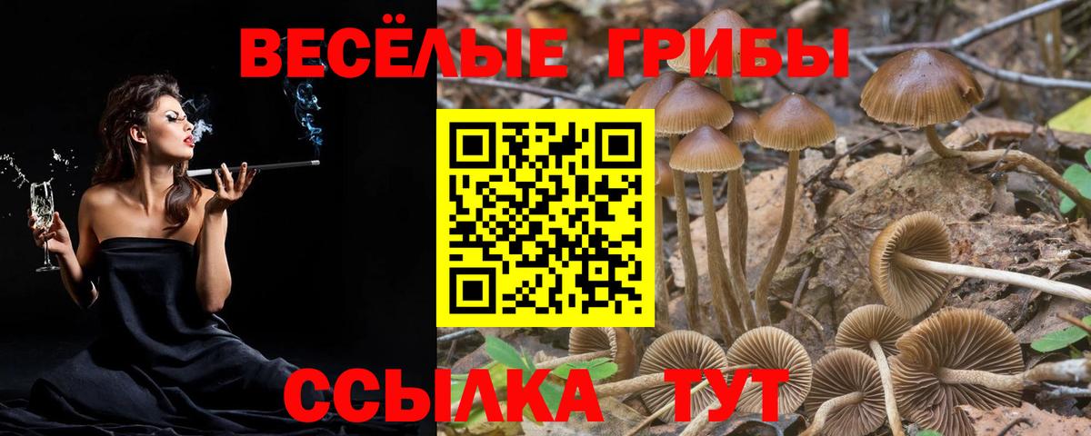Южноуральск  Псилоцибиновые грибы Magic Shrooms  Вход с VPN 